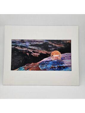 "Calico Orb" 2022 Art Print By Gina Geldbach-Hall 16x20" With COA